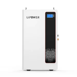 BT51100B2 - 51,2 V LiFePO4 Powerwall-Batteriespeicher für Zuhause
