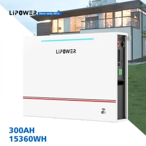BT51200C - 51,2 V LiFePO4 Ganzhaus-Batteriespeicher